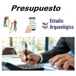 Presupuesto de informe de...